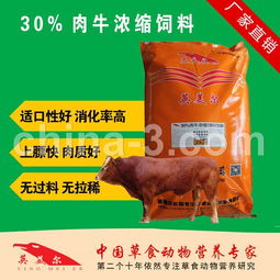 架子牛如何喂料 北京英美尔30 肉牛浓缩饲料